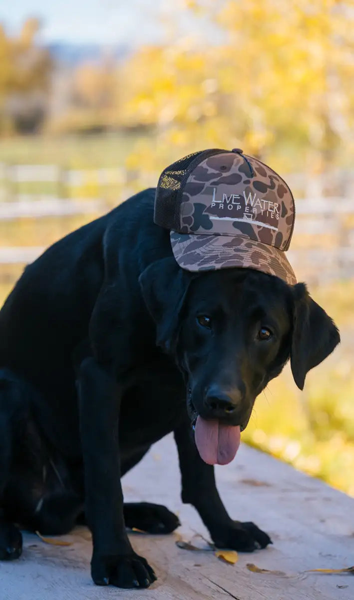 Richardson Hat with LWP Logo